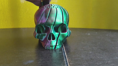 Sliding Fidget Skull